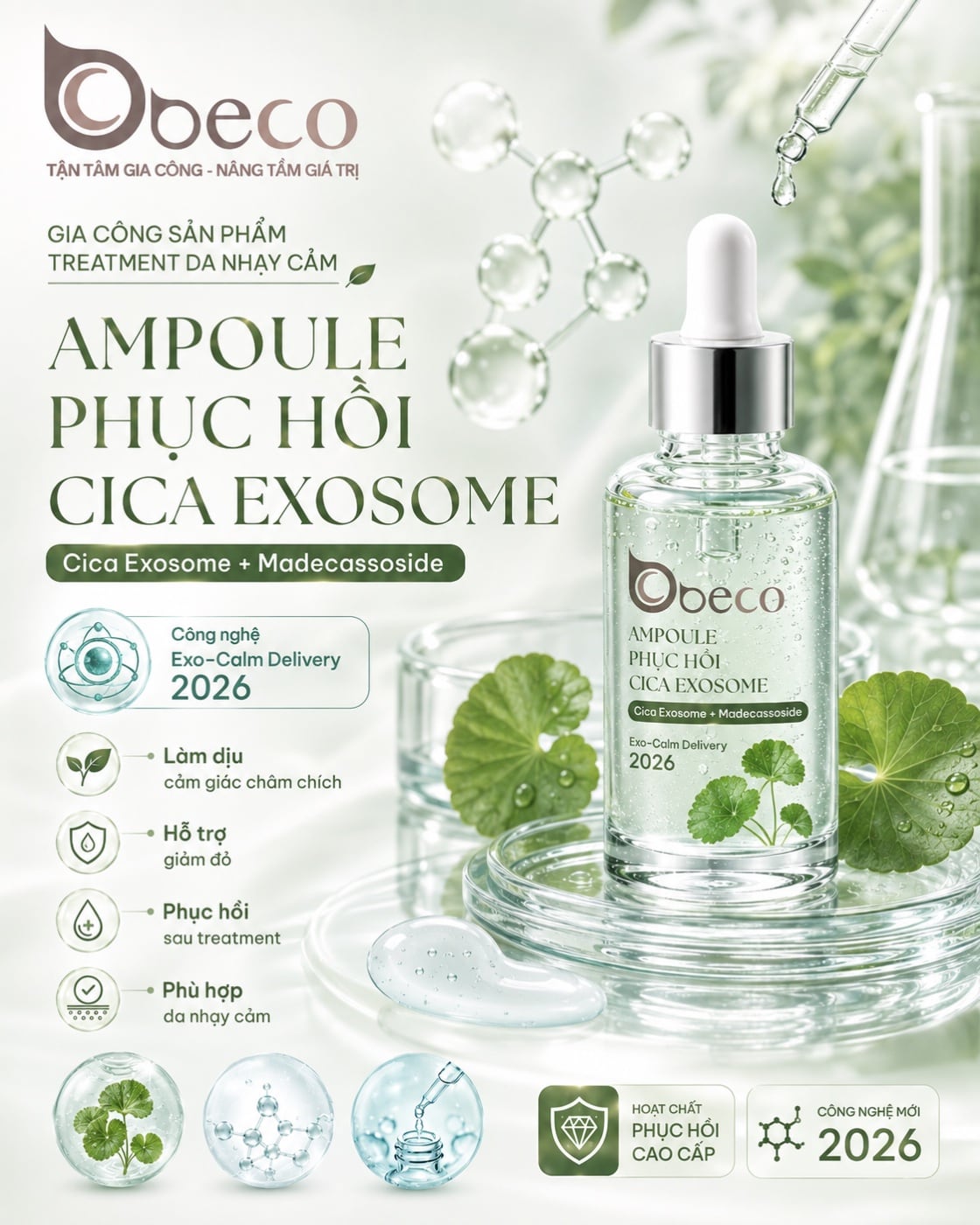 Ampoule phục hồi Cica Exosome của BECO