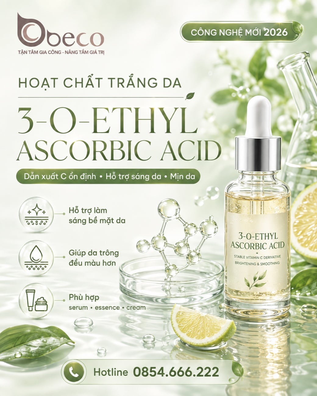Nguyên liệu 3-O-Ethyl Ascorbic Acid trong danh mục của BECO