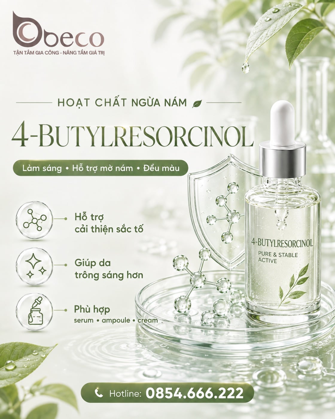 Nguyên liệu 4-Butylresorcinol trong danh mục nguyên liệu của BECO