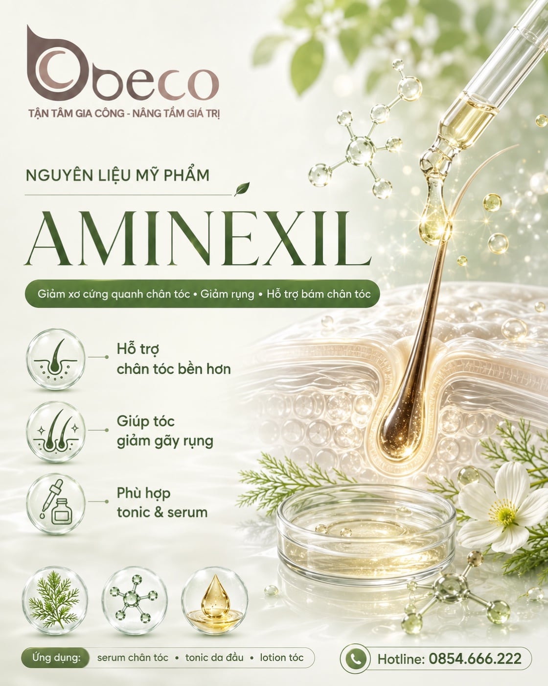Nguyên liệu Aminexil trong danh mục nguyên liệu của BECO