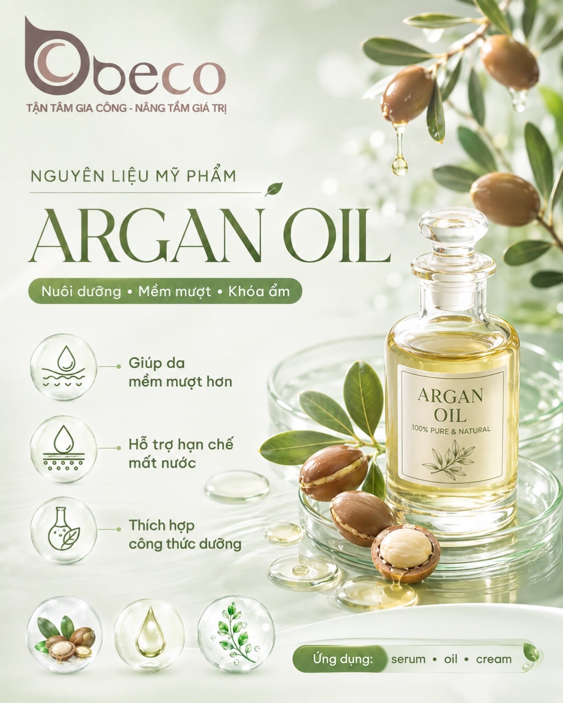 Nguyên liệu Argan Oil trong danh mục nguyên liệu của BECO