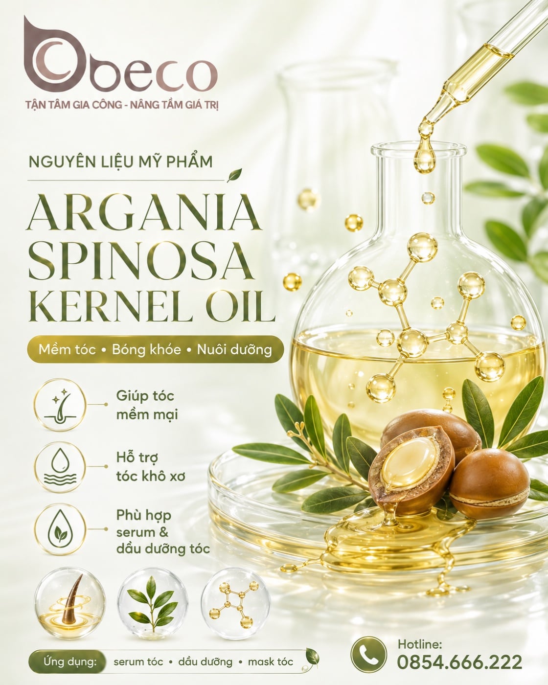 Nguyên liệu Argania Spinosa Kernel Oil trong danh mục nguyên liệu của BECO