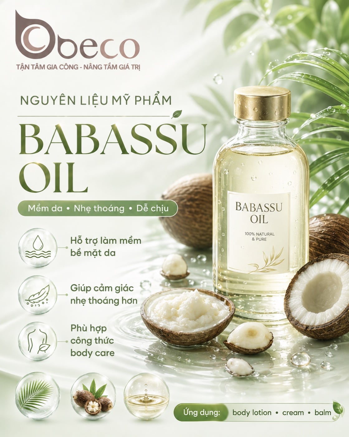 Nguyên liệu Babassu Oil trong danh mục nguyên liệu của BECO