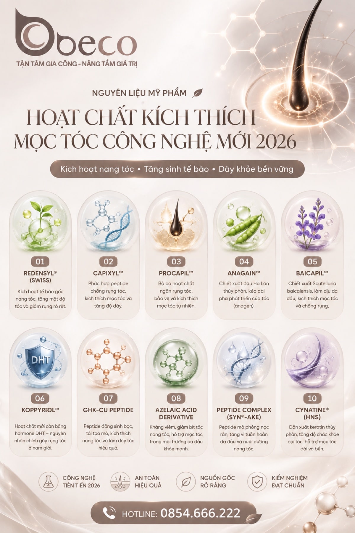 Bảng đối chiếu các hoạt chất hỗ trợ mọc tóc trong danh mục nguyên liệu của BECO