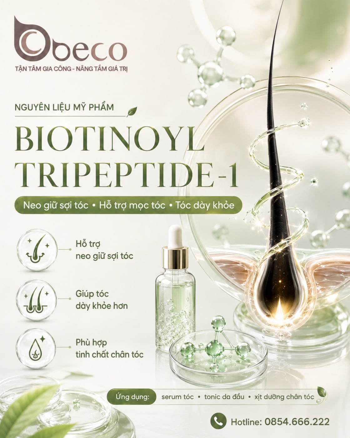 Nguyên liệu Biotinoyl Tripeptide-1 trong danh mục nguyên liệu của BECO