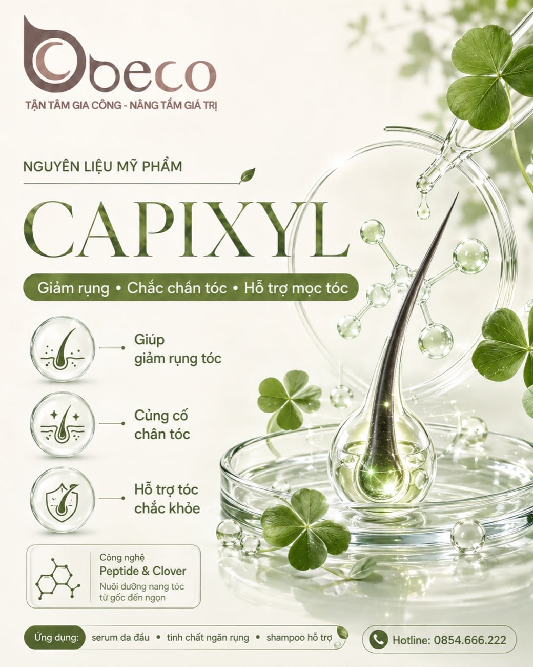 Nguyên liệu Capixyl cho dòng chăm sóc tóc của BECO