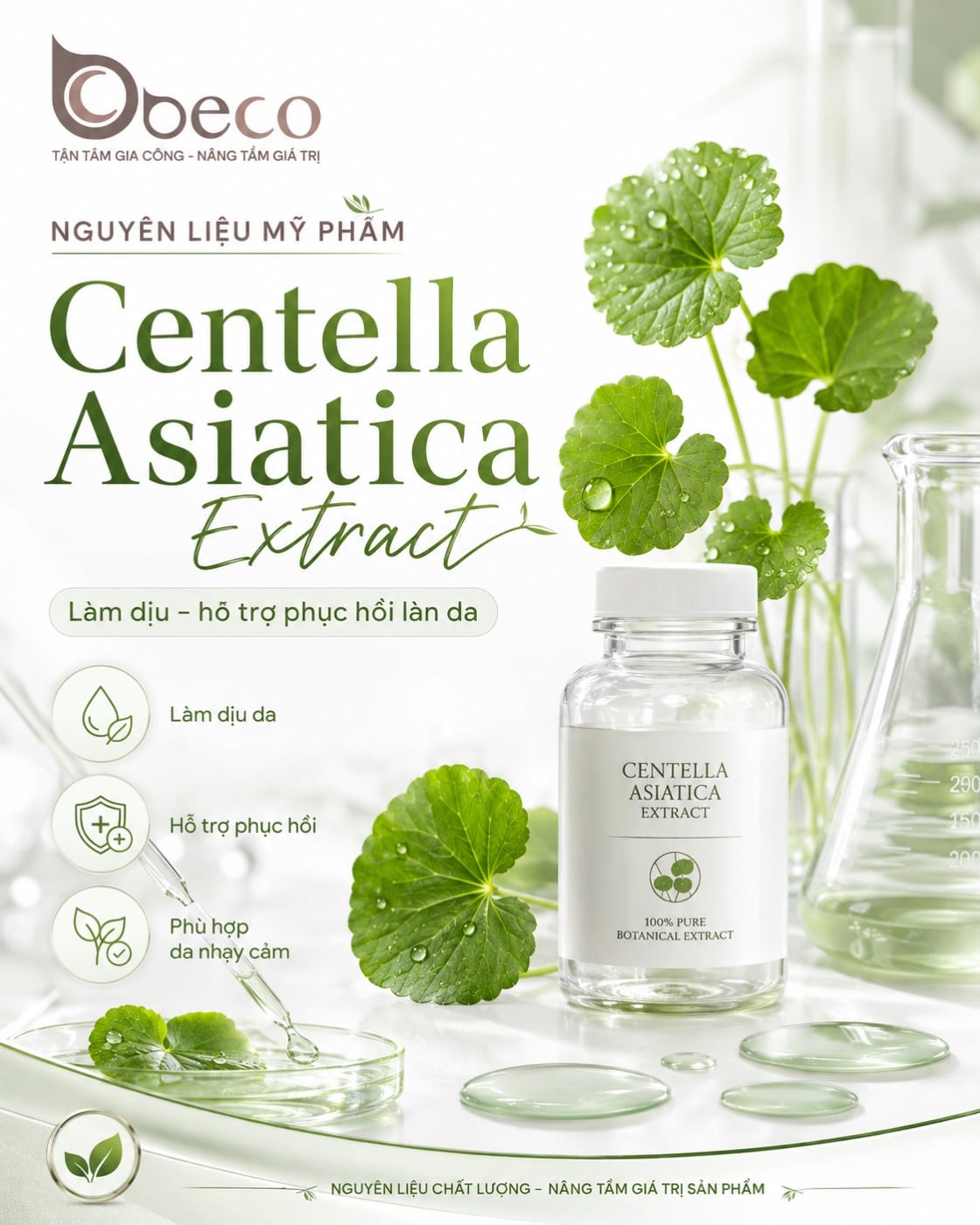 Nguyên liệu Centella Asiatica Extract trong danh mục nguyên liệu của BECO