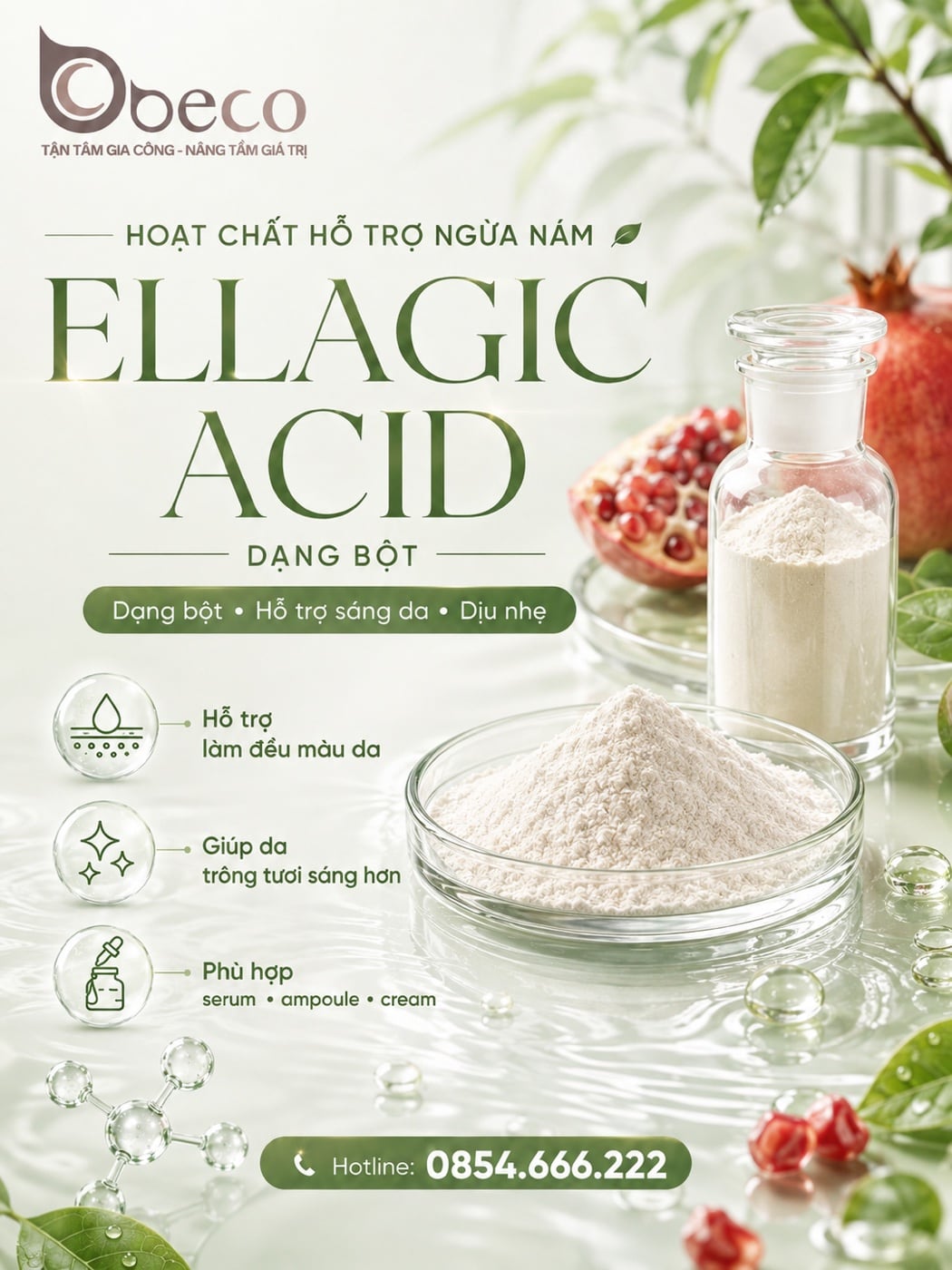 Nguyên liệu Ellagic Acid (dạng bột) trong danh mục nguyên liệu của BECO