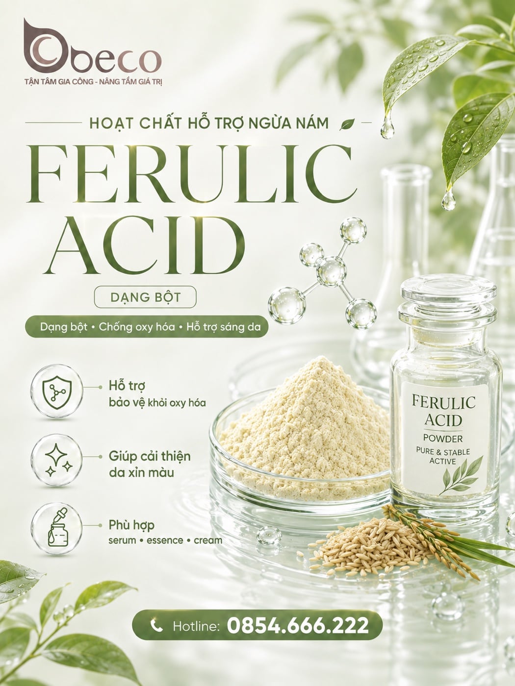 Nguyên liệu Ferulic Acid (dạng bột) trong danh mục nguyên liệu của BECO