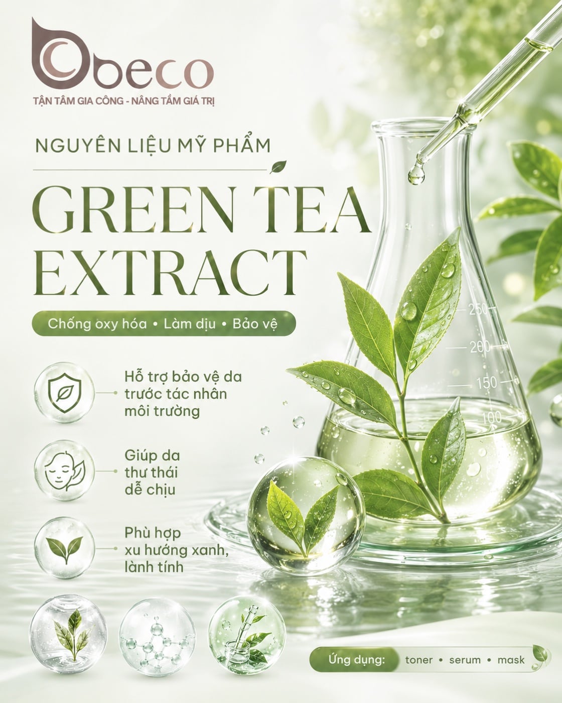 Nguyên liệu Green Tea Extract trong danh mục nguyên liệu của BECO