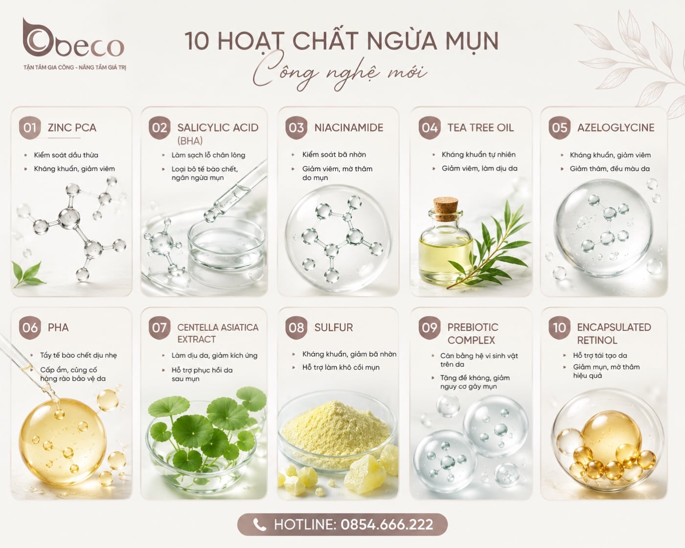 Thẻ Zinc PCA · BHA · Niacinamide · Tea Tree · Azeloglycine trong bộ bộ thẻ hoạt chất chăm sóc da mụn của BECO