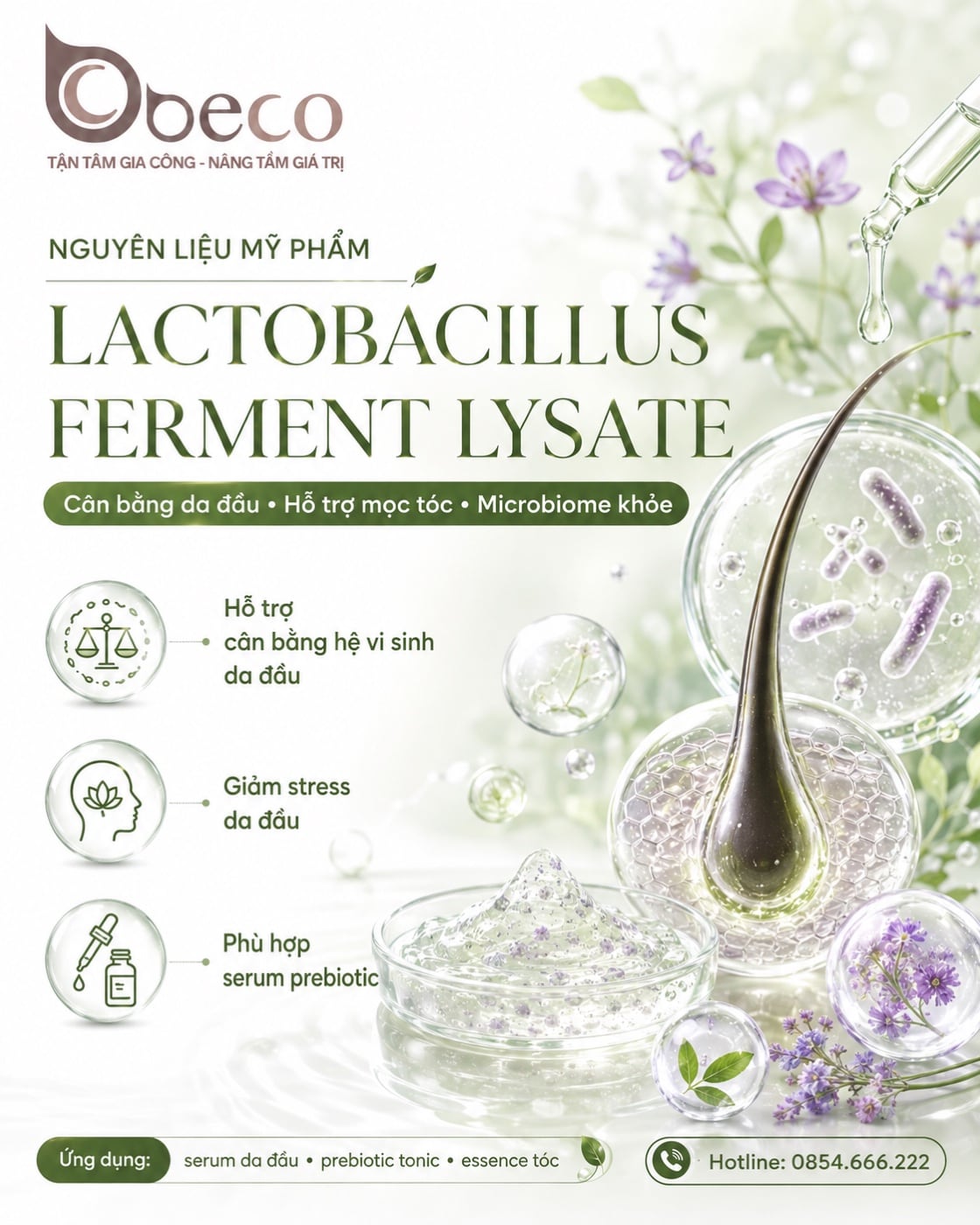 Nguyên liệu Lactobacillus Ferment Lysate trong danh mục nguyên liệu của BECO
