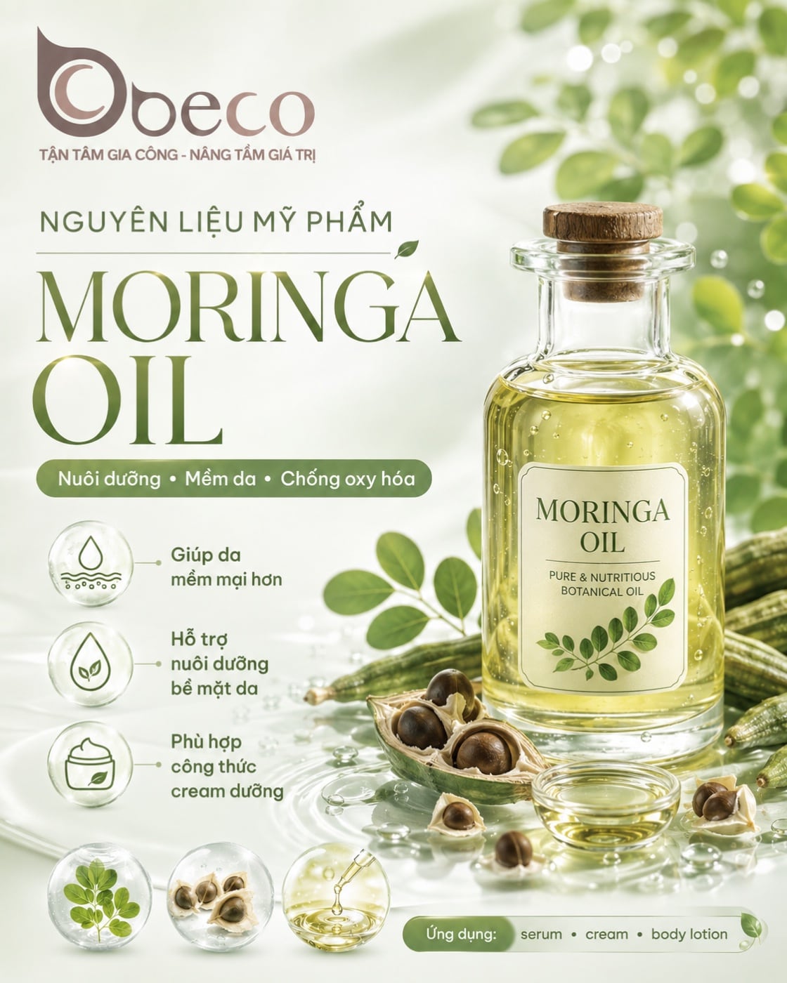 Nguyên liệu Moringa Oil trong danh mục nguyên liệu của BECO