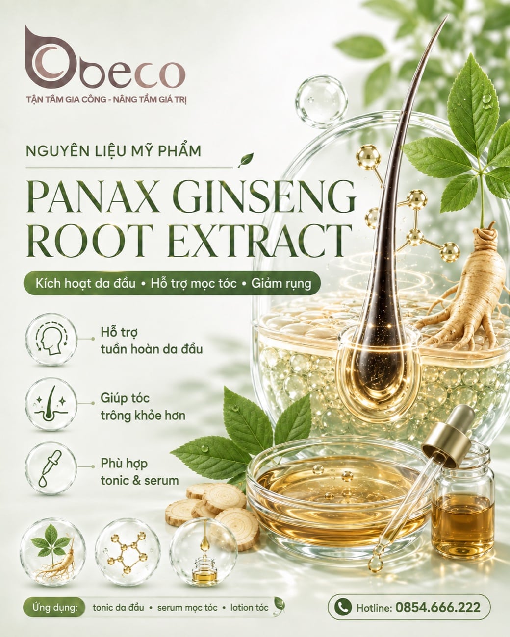 Nguyên liệu Panax Ginseng Root Extract trong danh mục của BECO