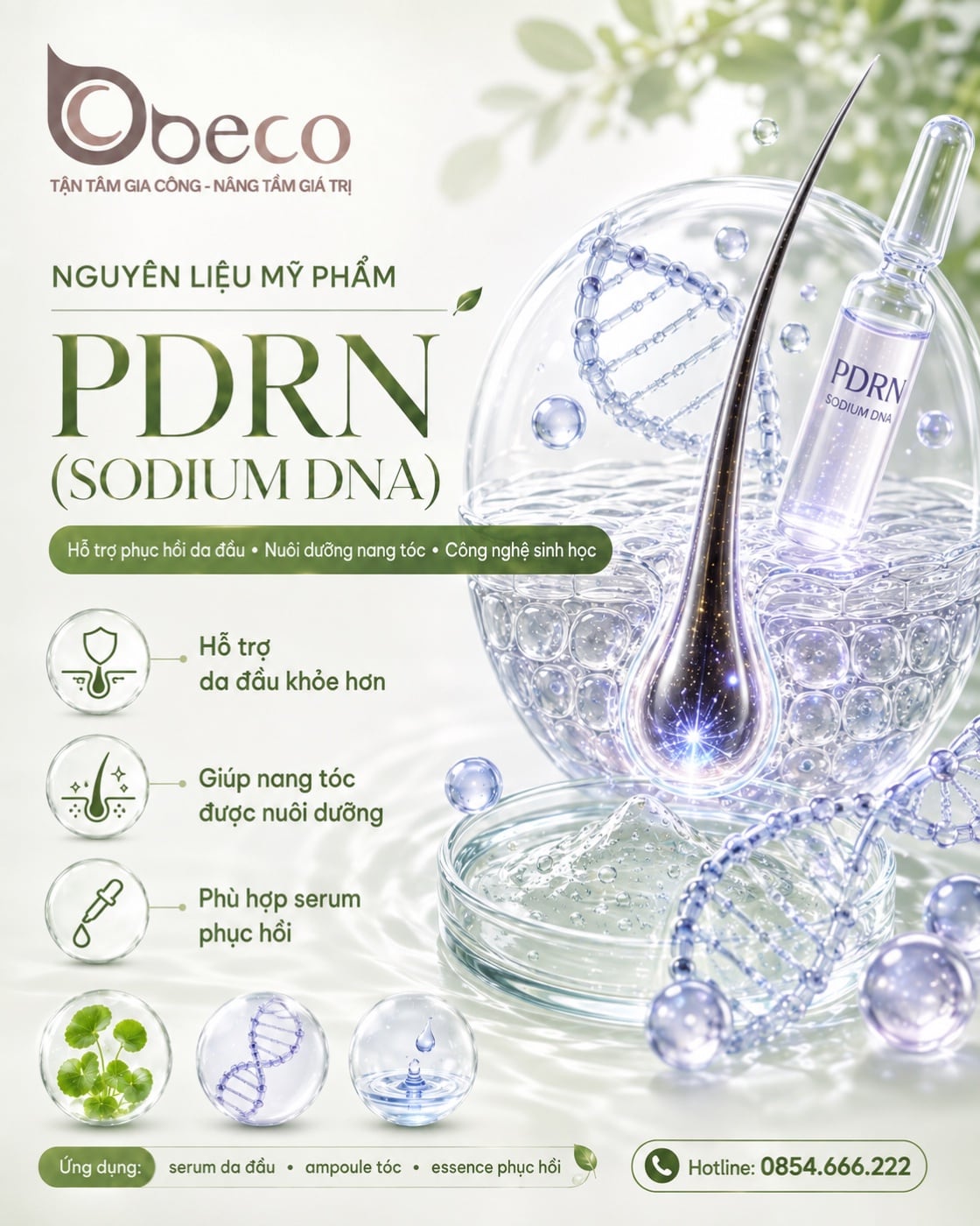 Nguyên liệu PDRN (Sodium DNA) trong danh mục nguyên liệu của BECO