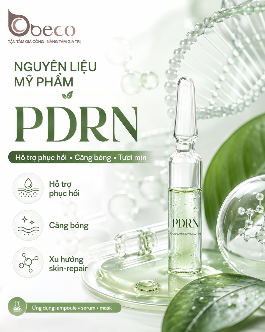 Thẻ PDRN bản vuông của BECO