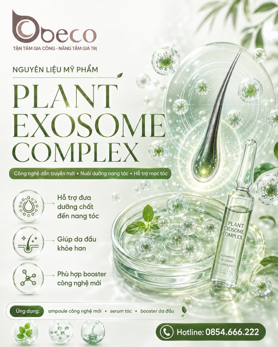 Nguyên liệu Plant Exosome Complex trong danh mục nguyên liệu của BECO