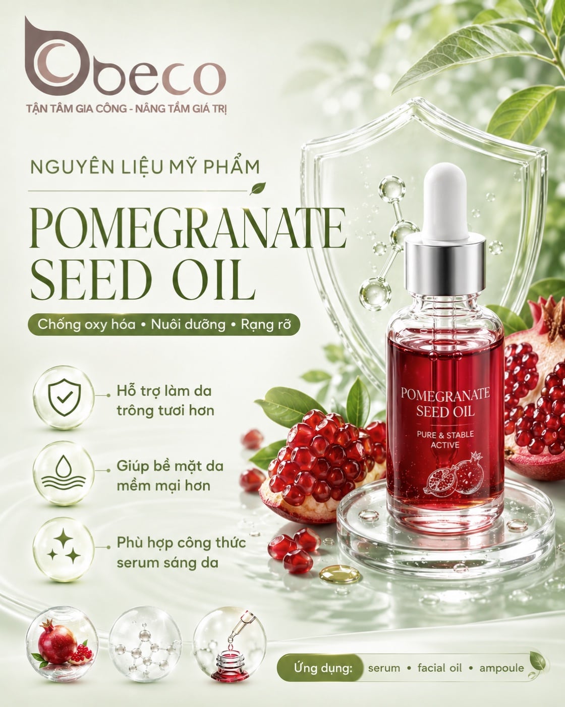 Nguyên liệu Pomegranate Seed Oil trong danh mục nguyên liệu của BECO