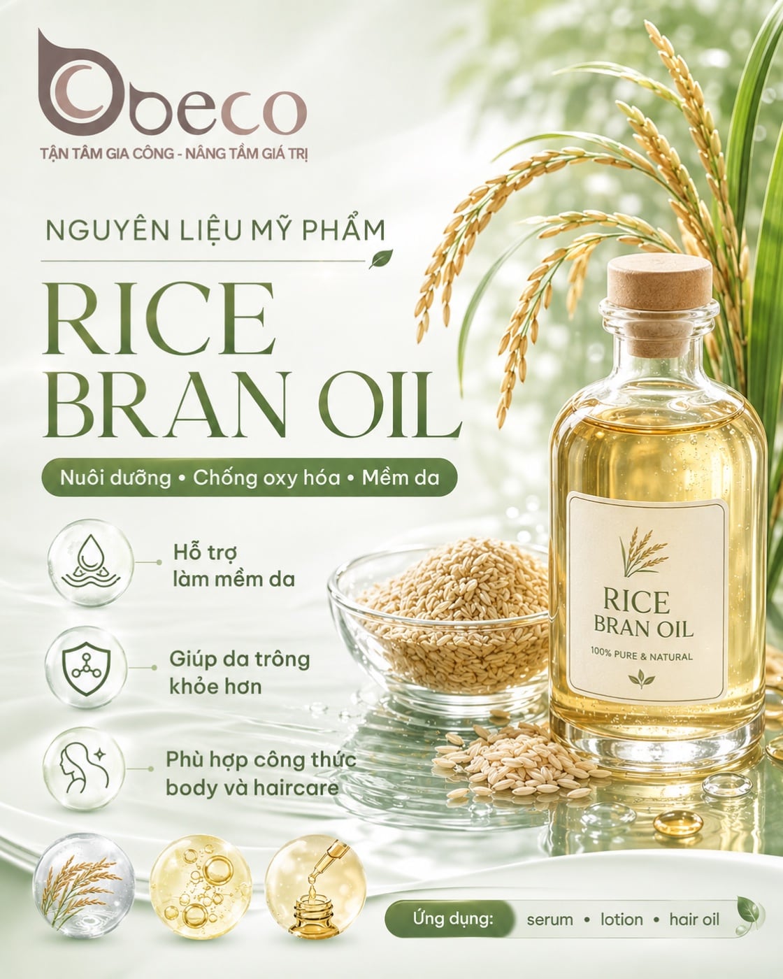 Nguyên liệu Rice Bran Oil trong danh mục nguyên liệu của BECO