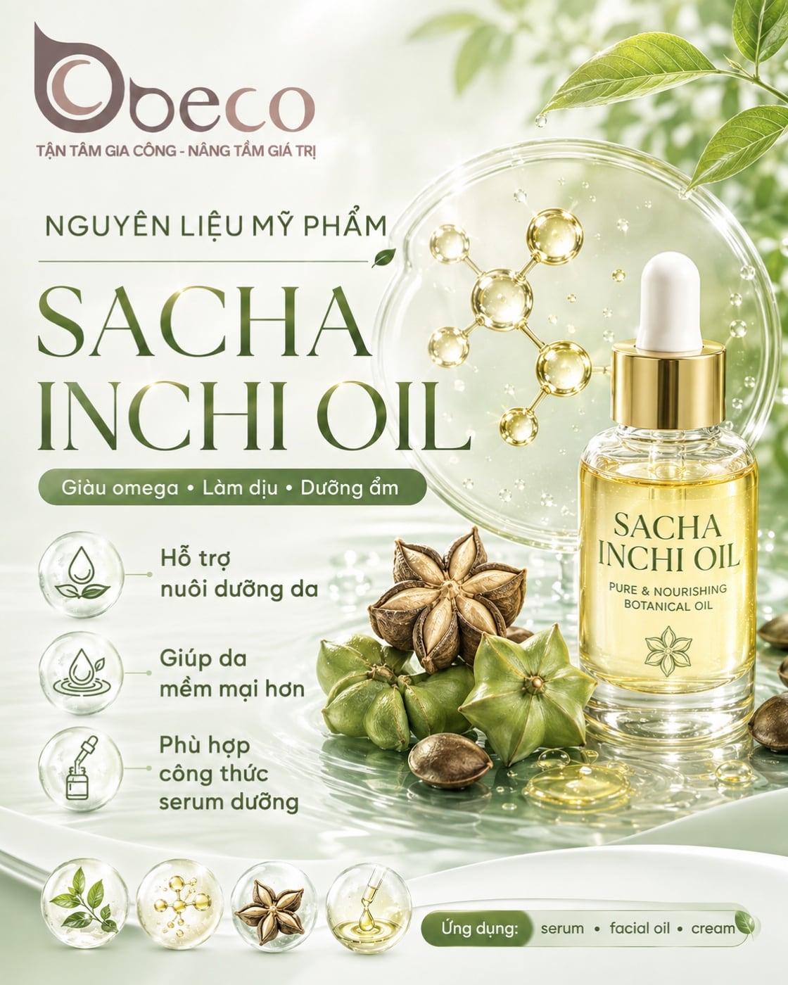 Nguyên liệu Sacha Inchi Oil trong danh mục nguyên liệu của BECO