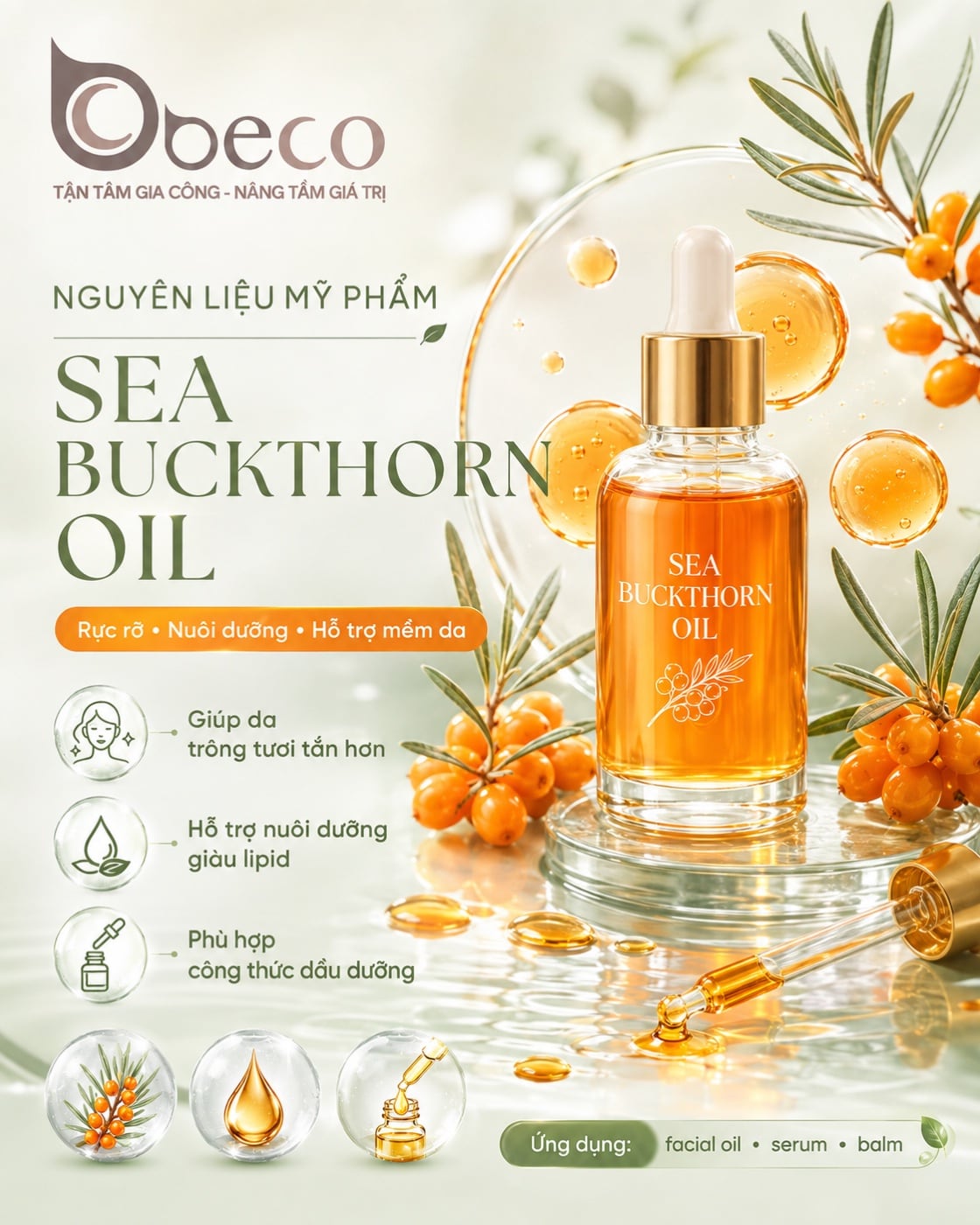 Nguyên liệu Sea Buckthorn Oil trong danh mục nguyên liệu của BECO