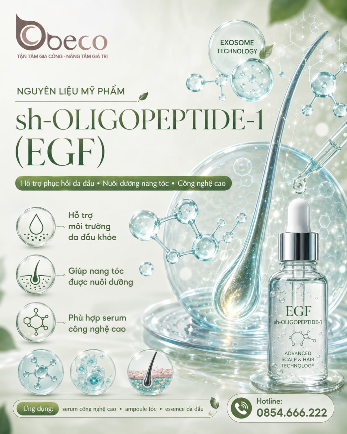 Nguyên liệu sh-Oligopeptide-1 (EGF) trong danh mục nguyên liệu của BECO