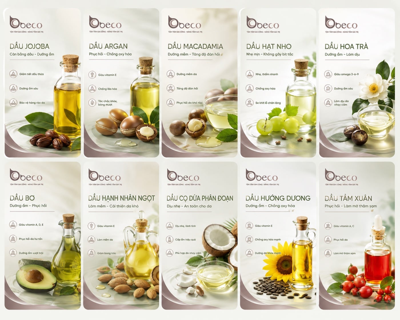 Thẻ Jojoba · Argan · Macadamia · Hạt nho · Hoa trà trong bộ bảng so sánh dầu nền của BECO