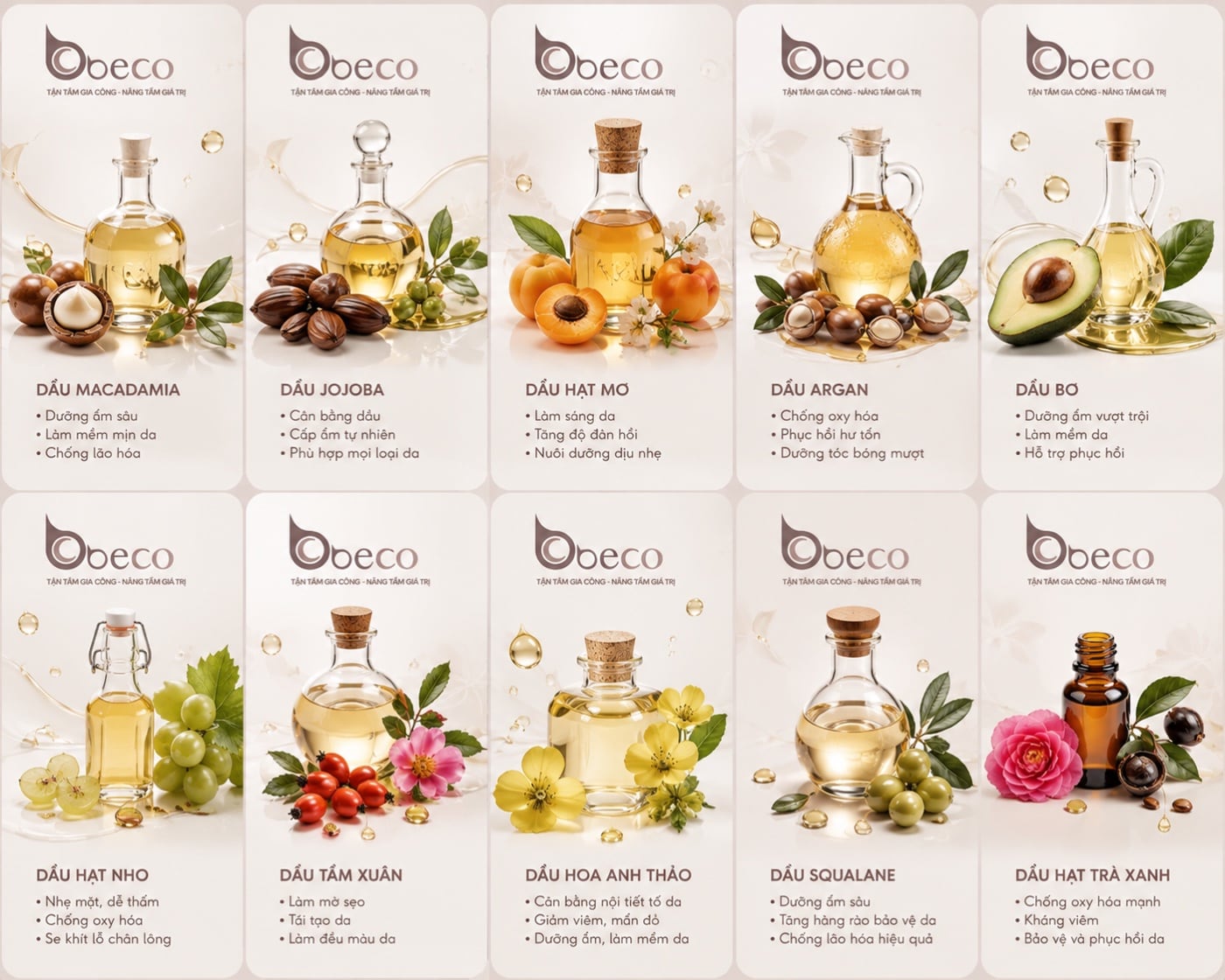 Thẻ Macadamia · Jojoba · Hạt mơ · Argan · Bơ trong bộ bảng so sánh dầu nền của BECO