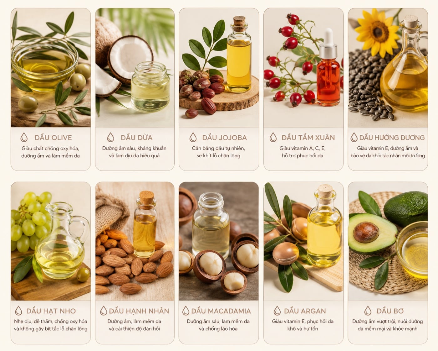 Thẻ Olive · Dừa · Jojoba · Tầm xuân · Hướng dương trong bộ bảng so sánh dầu nền của BECO