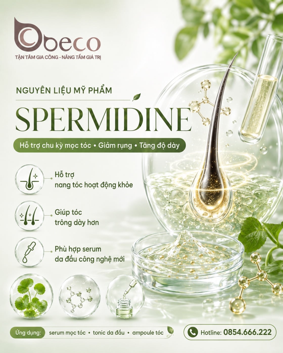 Nguyên liệu Spermidine trong danh mục nguyên liệu của BECO