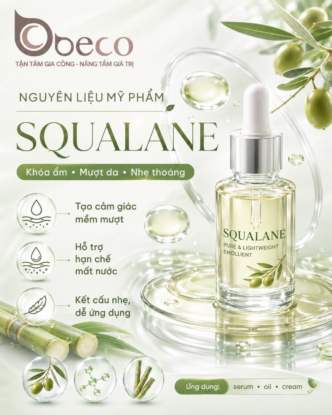 Nguyên liệu Squalane trong danh mục nguyên liệu của BECO