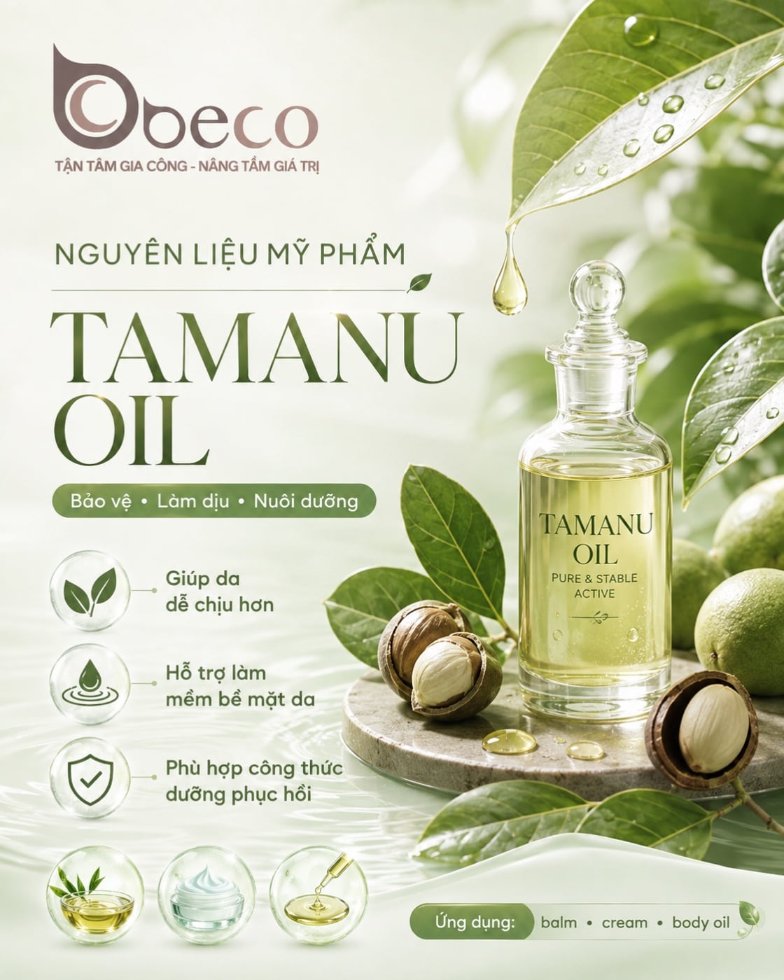 Nguyên liệu Tamanu Oil trong danh mục nguyên liệu của BECO