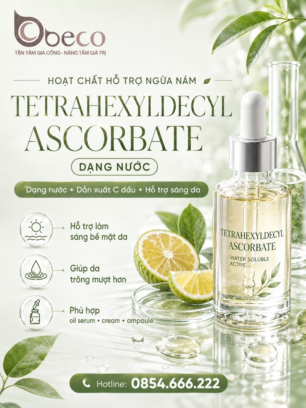Nguyên liệu Tetrahexyldecyl Ascorbate trong danh mục nguyên liệu của BECO