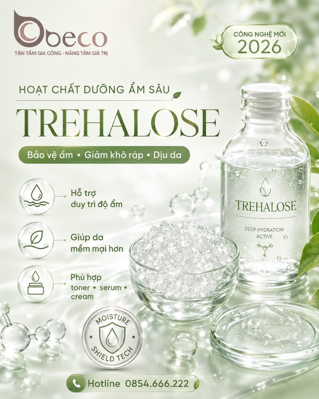 Nguyên liệu Trehalose trong danh mục nguyên liệu của BECO