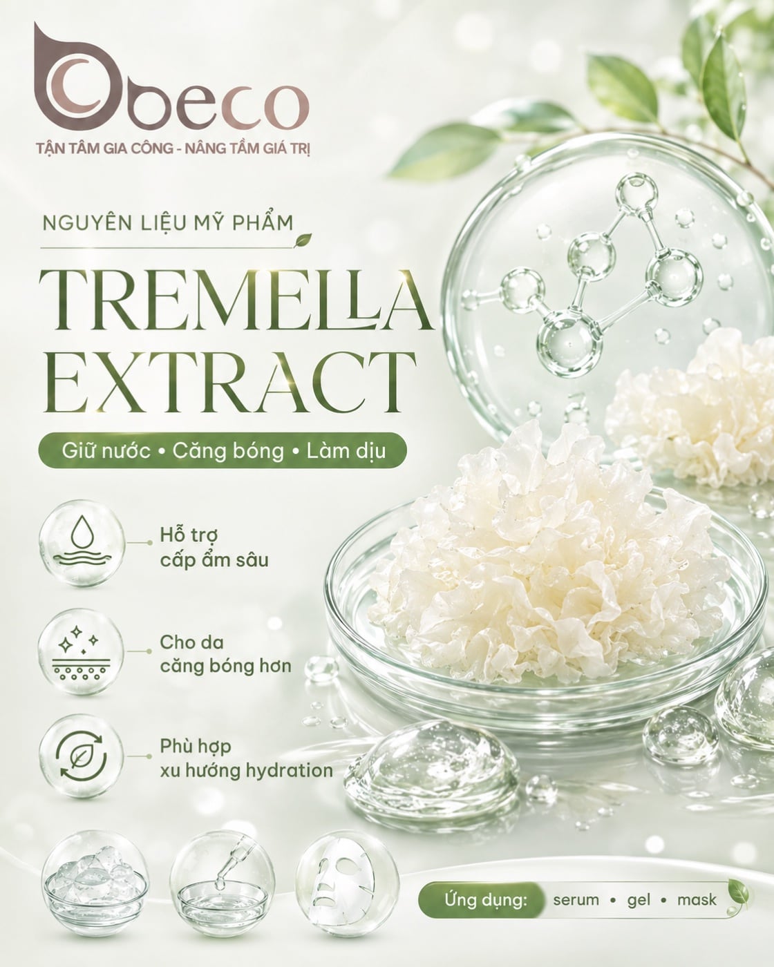 Nguyên liệu Tremella Extract trong danh mục nguyên liệu của BECO