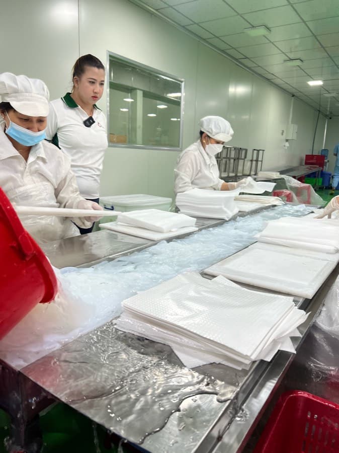Công nhân sơ chế miếng mặt nạ biocellulose trên bàn inox tại nhà máy BECO