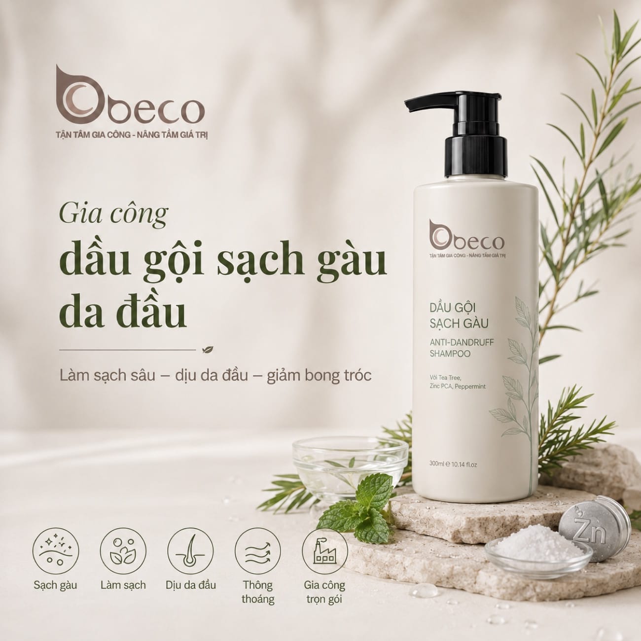 Dầu gội sạch gàu cho da đầu dầu do BECO gia công