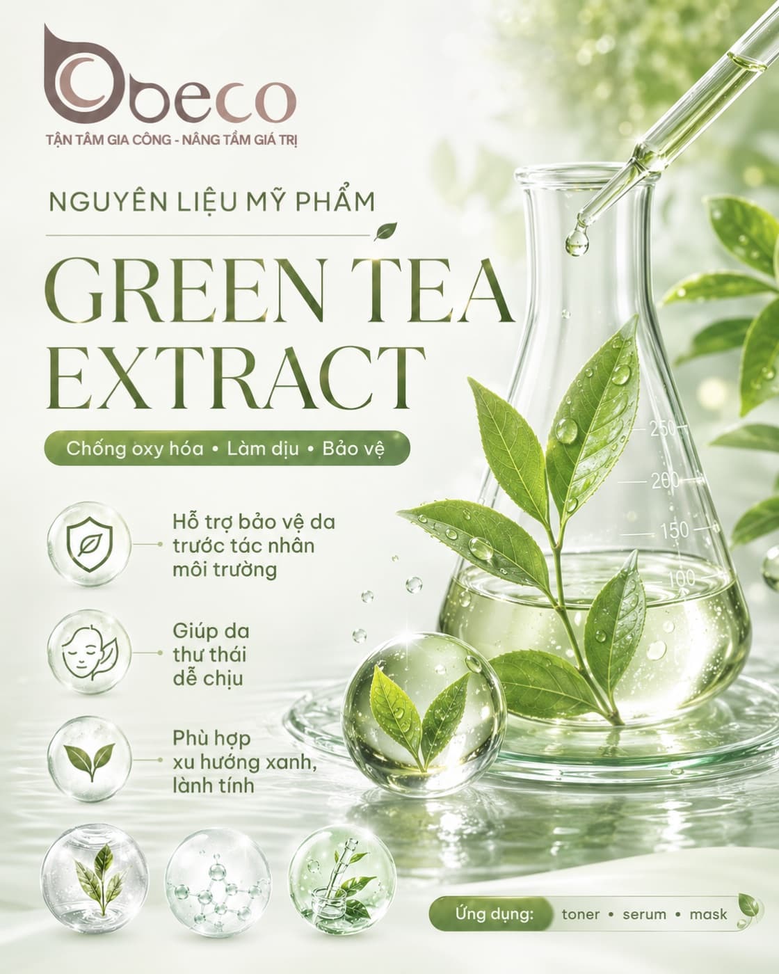 Nguyên liệu Green Tea Extract trong danh mục nguyên liệu của BECO