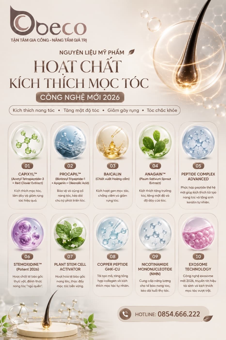 Thẻ Capixyl · Procapil · Baicalin · AnaGain · Peptide trong bộ thẻ hoạt chất hỗ trợ mọc tóc của BECO