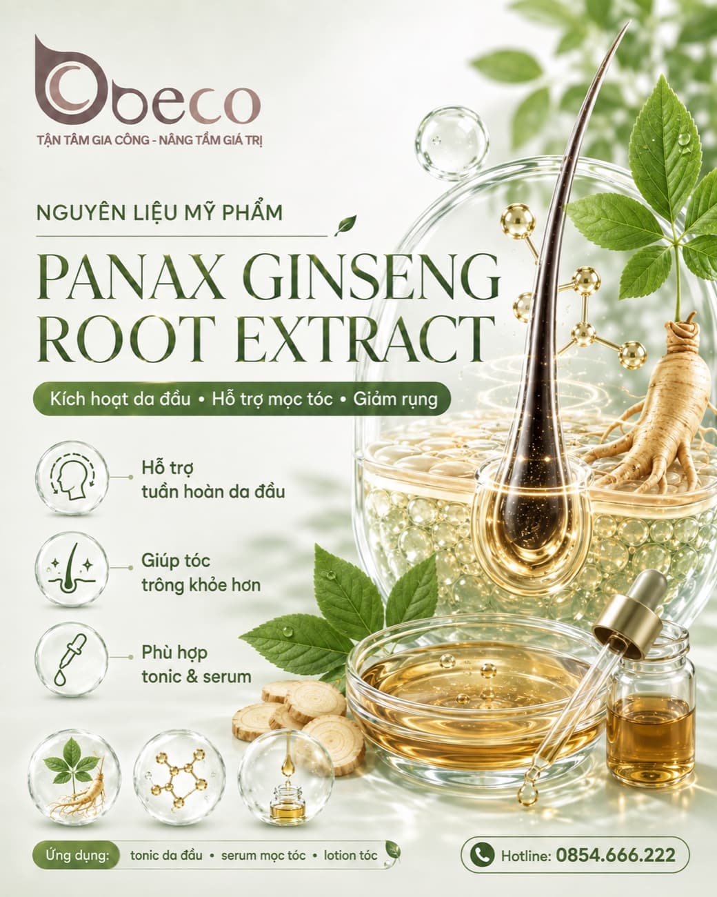 Nguyên liệu Panax Ginseng Root Extract trong danh mục của BECO