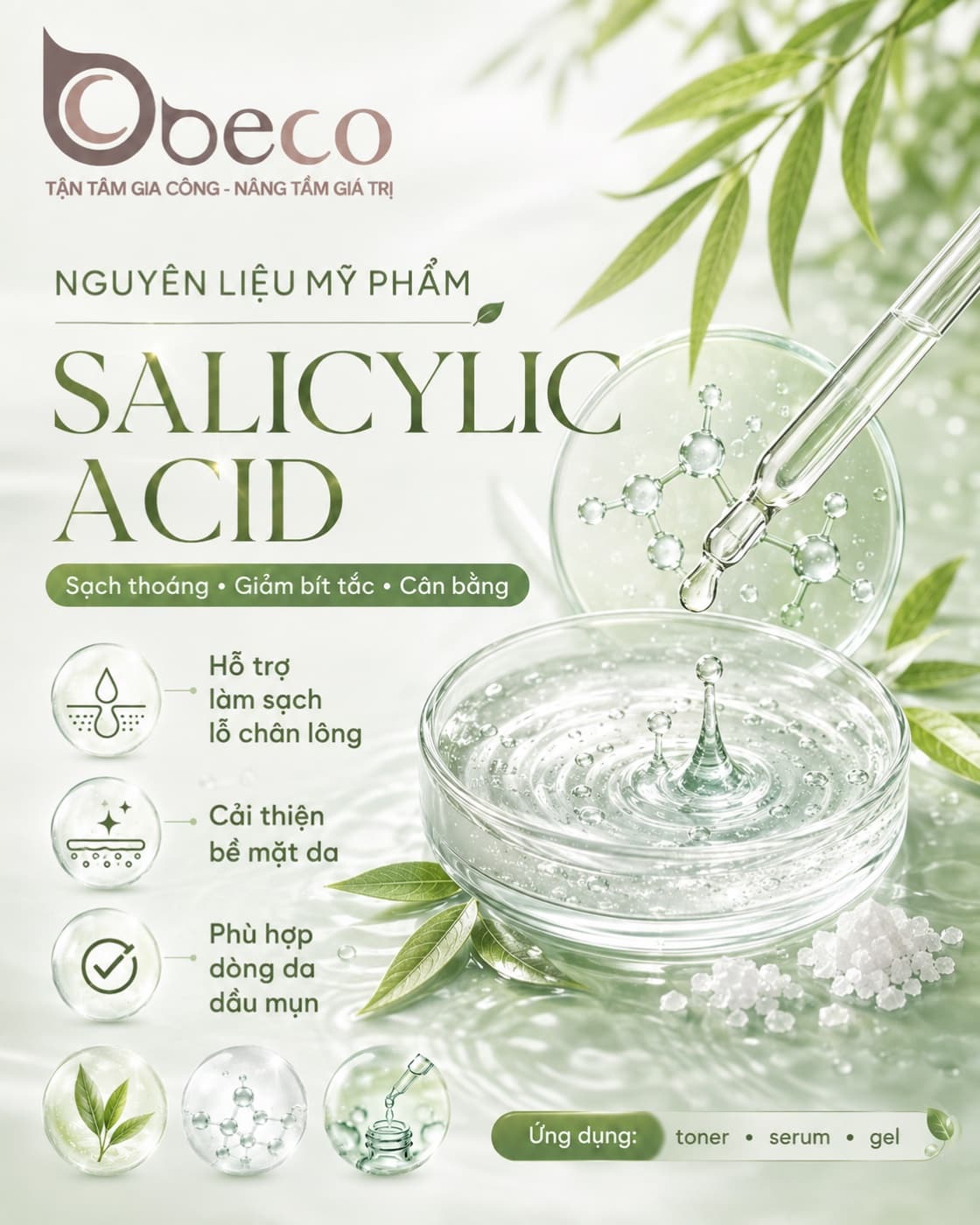 Nguyên liệu Salicylic Acid trong danh mục nguyên liệu của BECO