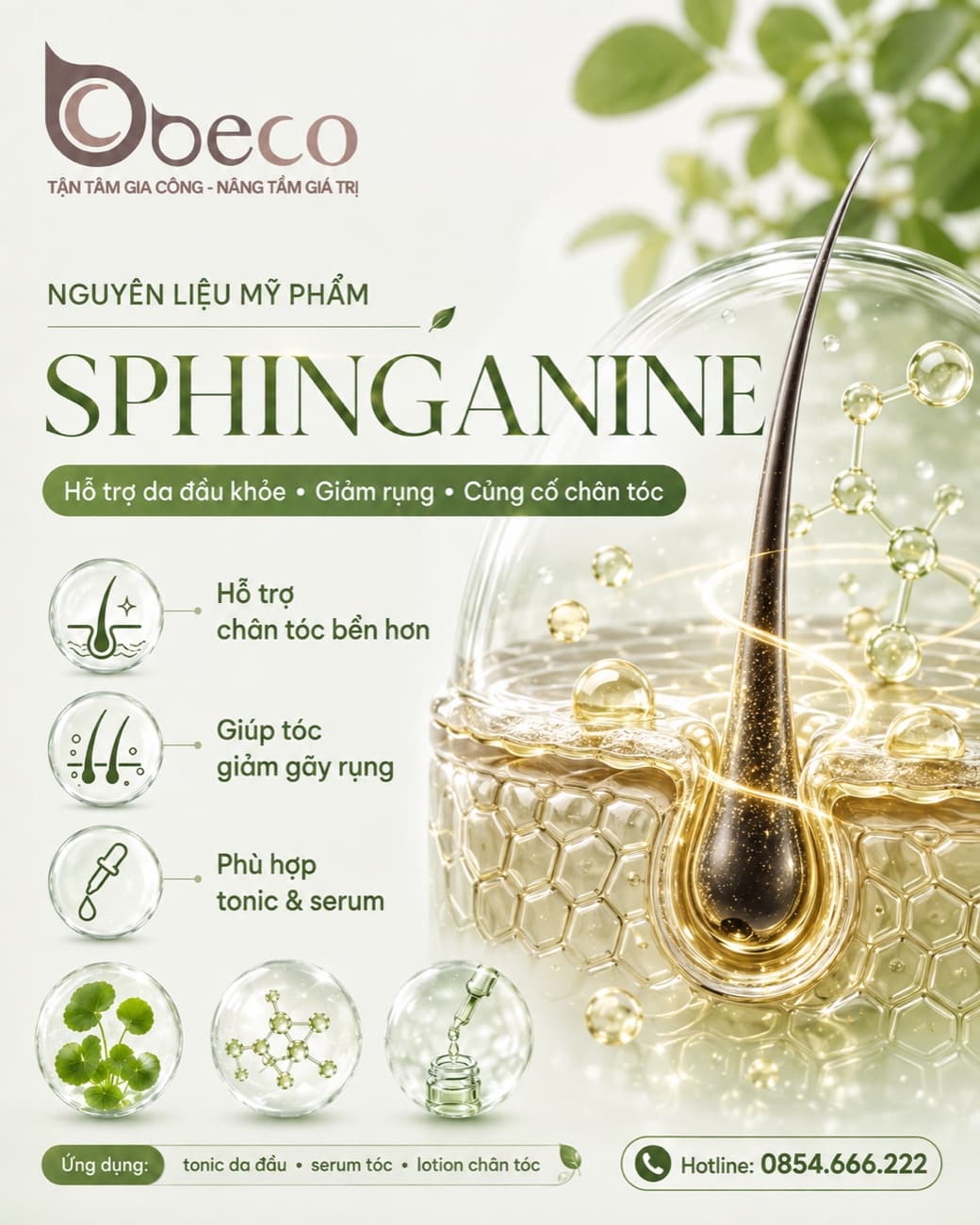 Nguyên liệu Sphinganine trong danh mục nguyên liệu của BECO