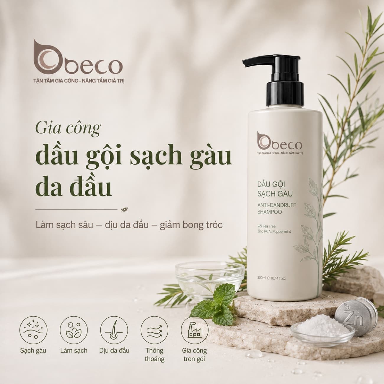 Dầu gội sạch gàu cho da đầu dầu do BECO gia công